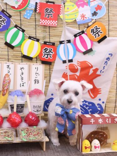 20240727ヒメちゃん